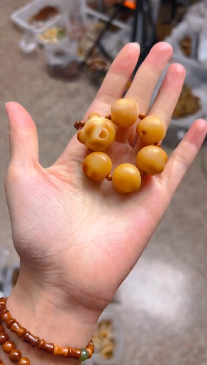 吊坠菩提根/象牙果E05  E05