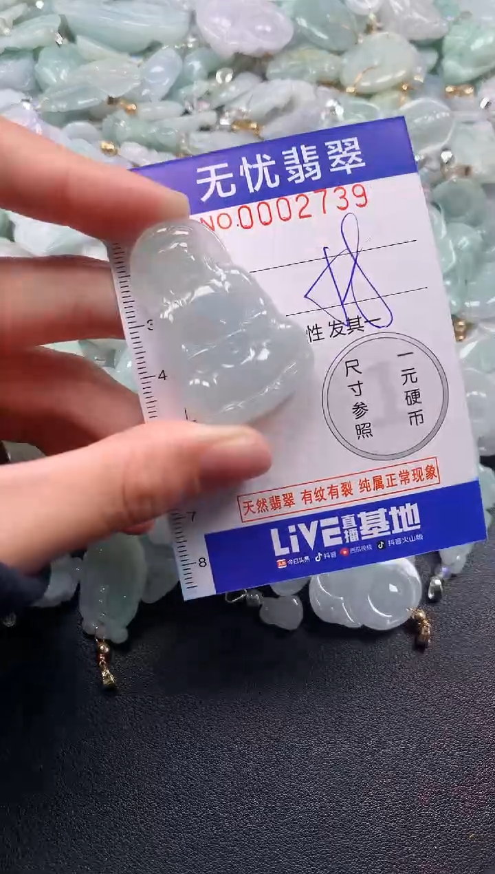 颈饰未镶嵌翡翠2739