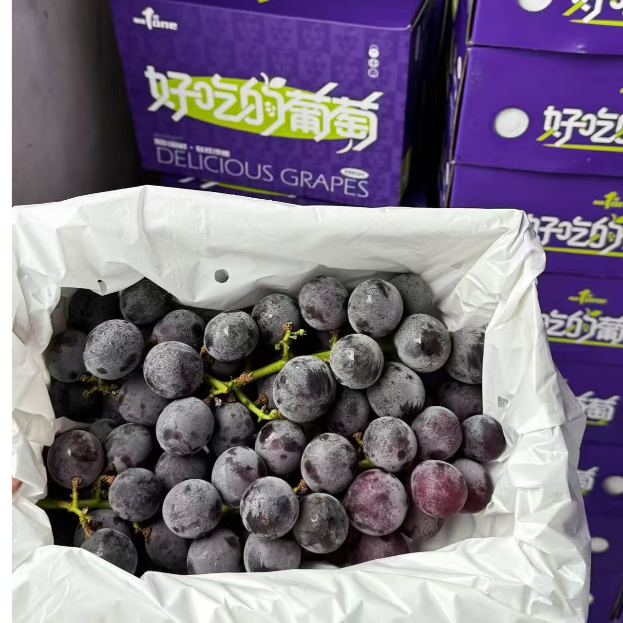 好吃的葡萄（买一箱送一箱）山东省