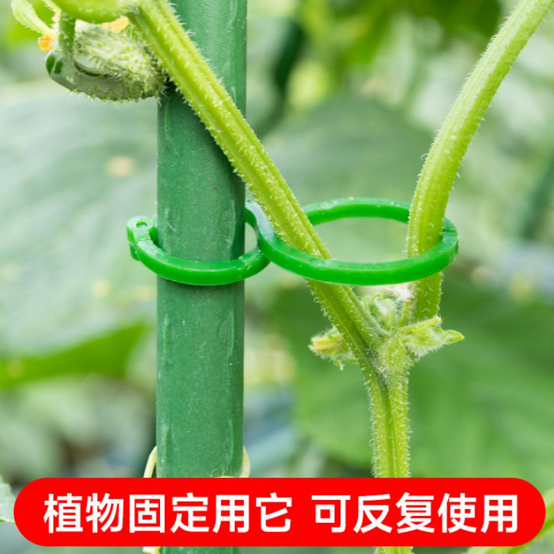 植物捆绑扎带8字扣用于固定黄瓜茄子藤蔓适合园林绿植塑料葫芦圈