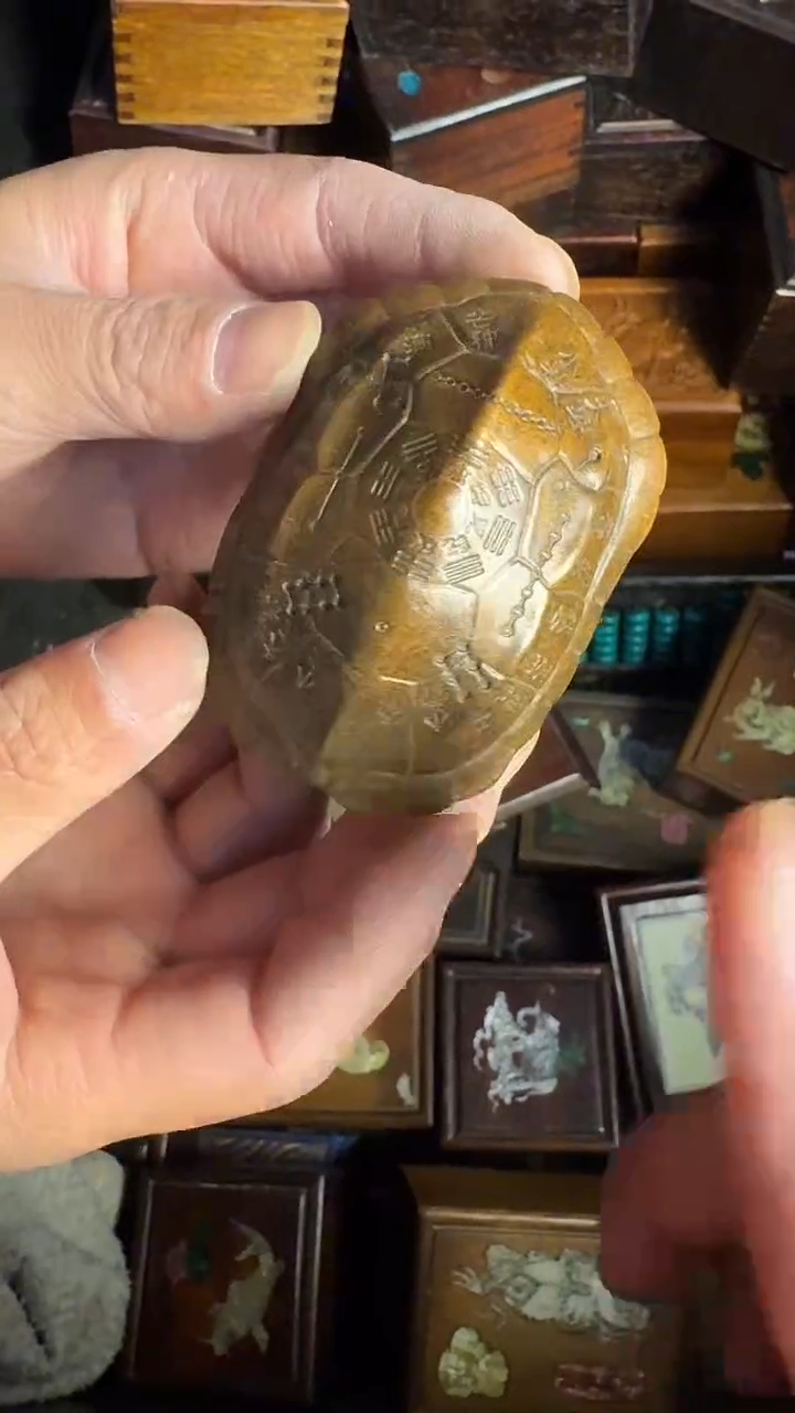 木闪购商品链接39号【龟壳】