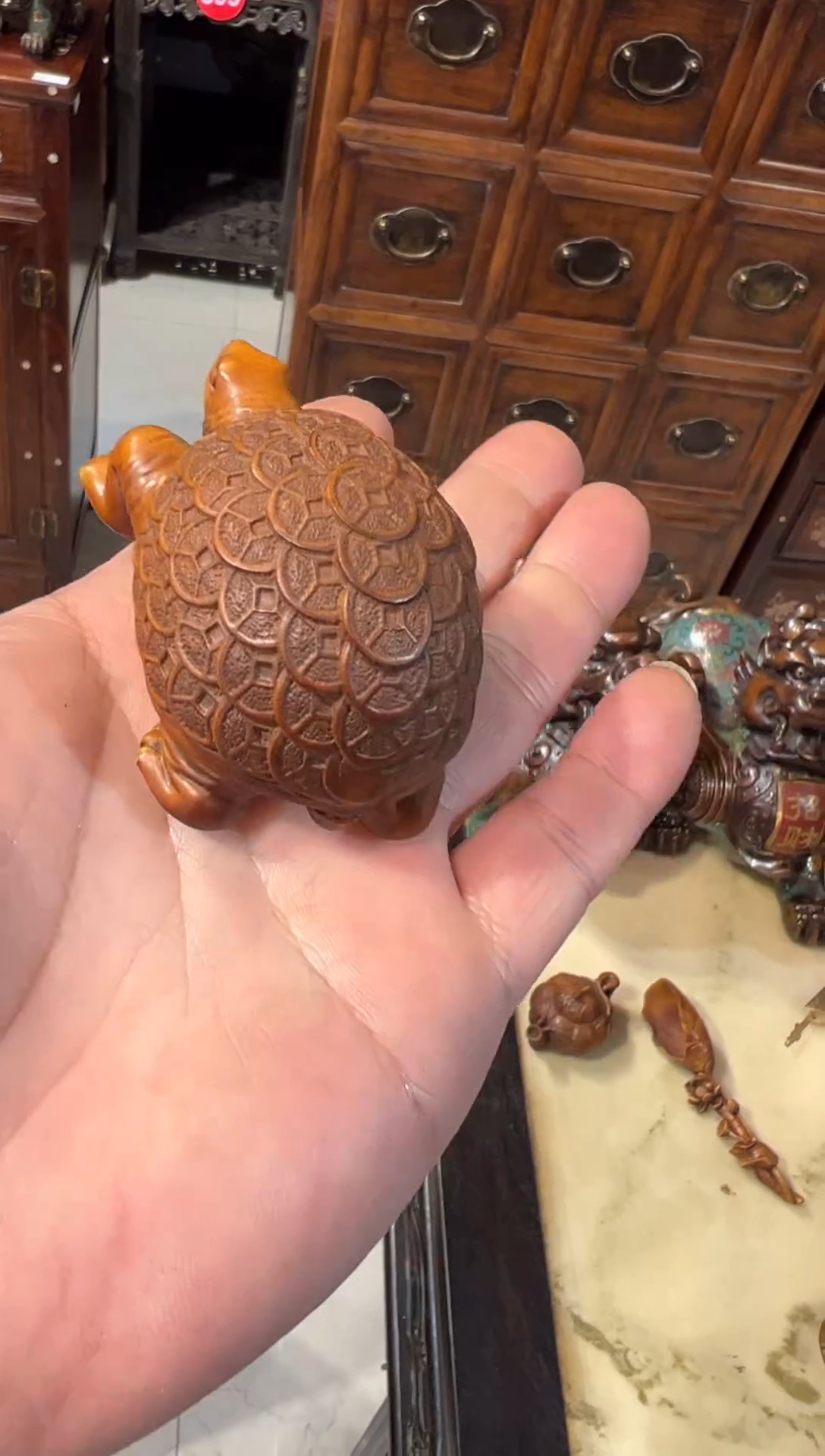 木木头款小孩以后有小叶黄杨小乌龟68