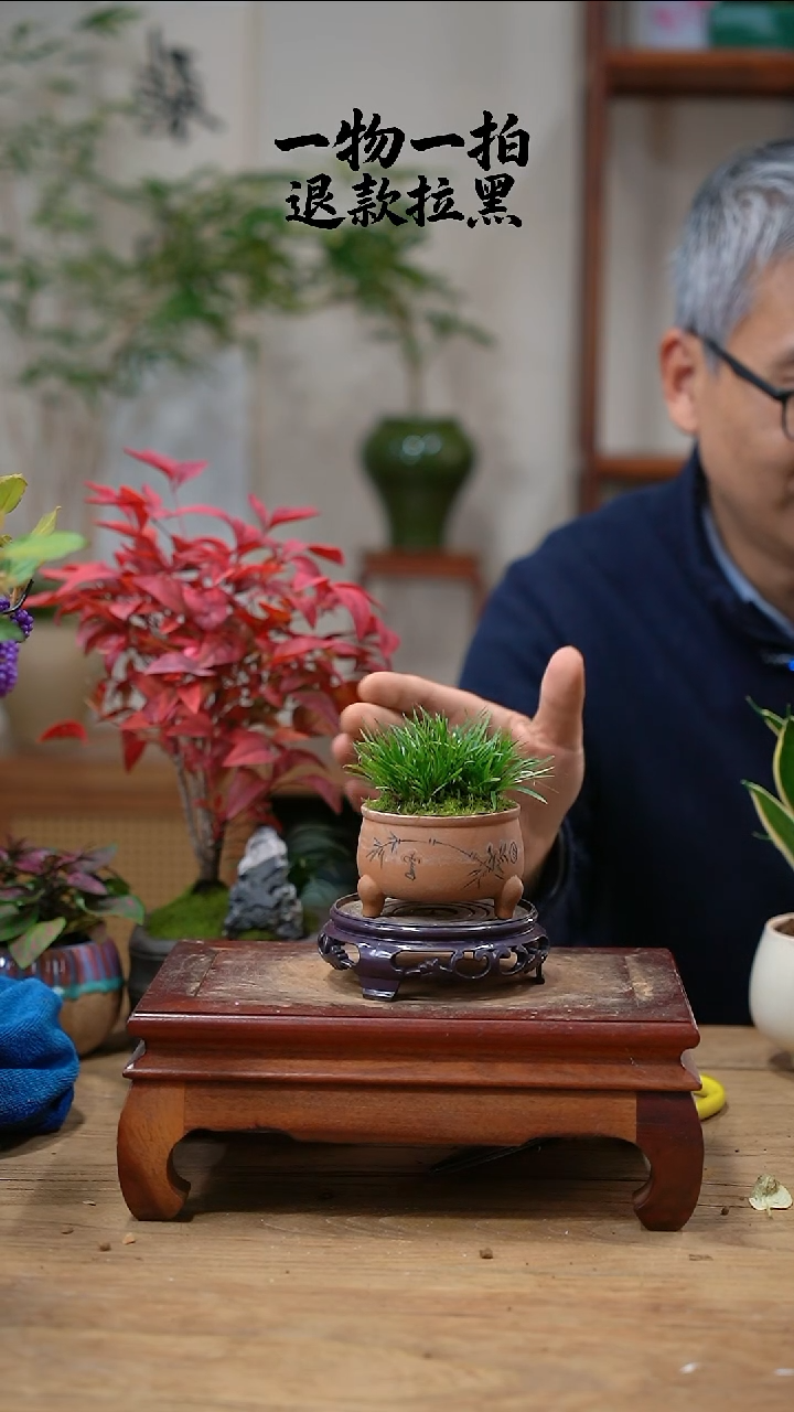 完全开放大****水菖蒲352