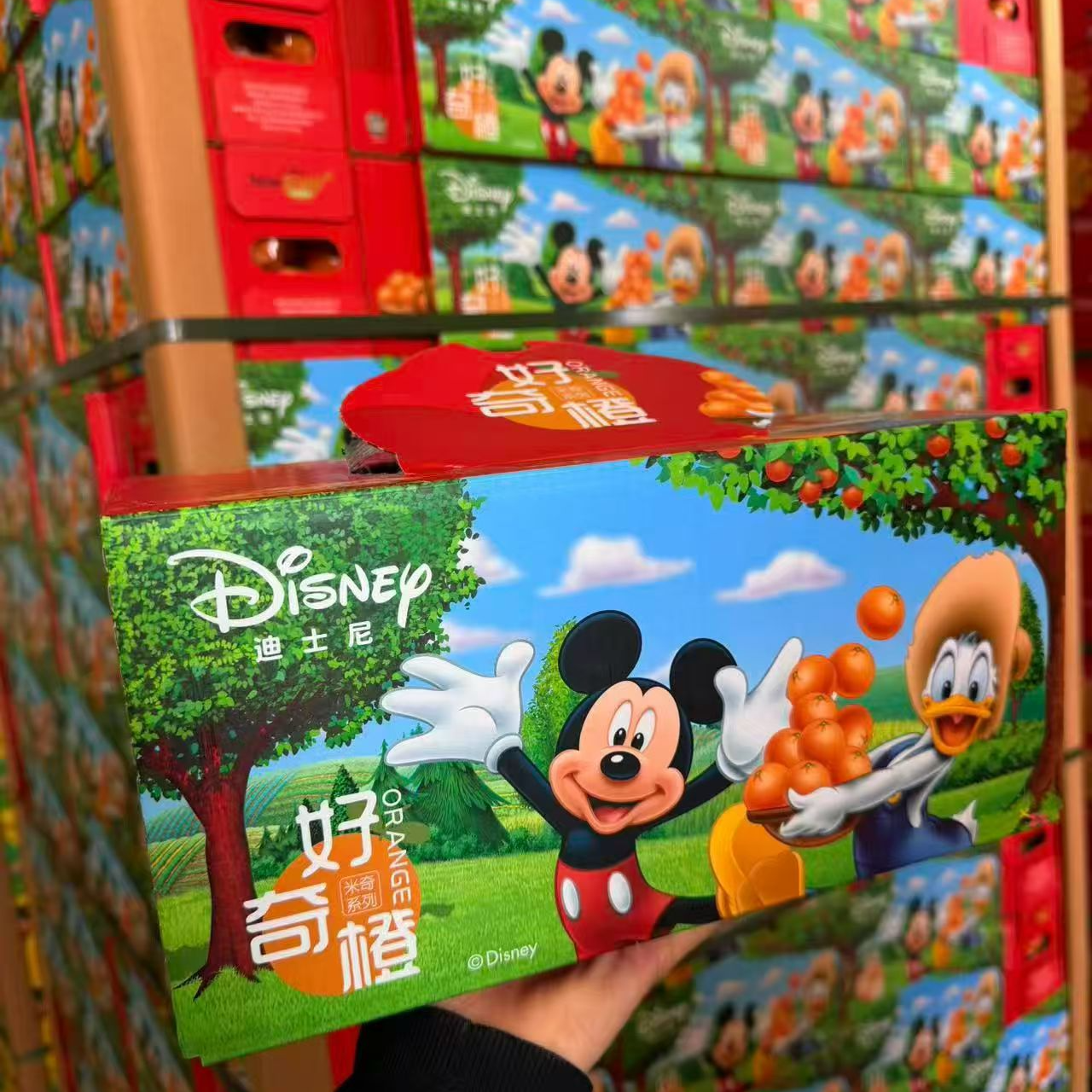 【直播福利款】江西赣南脐橙江西橙子橙子