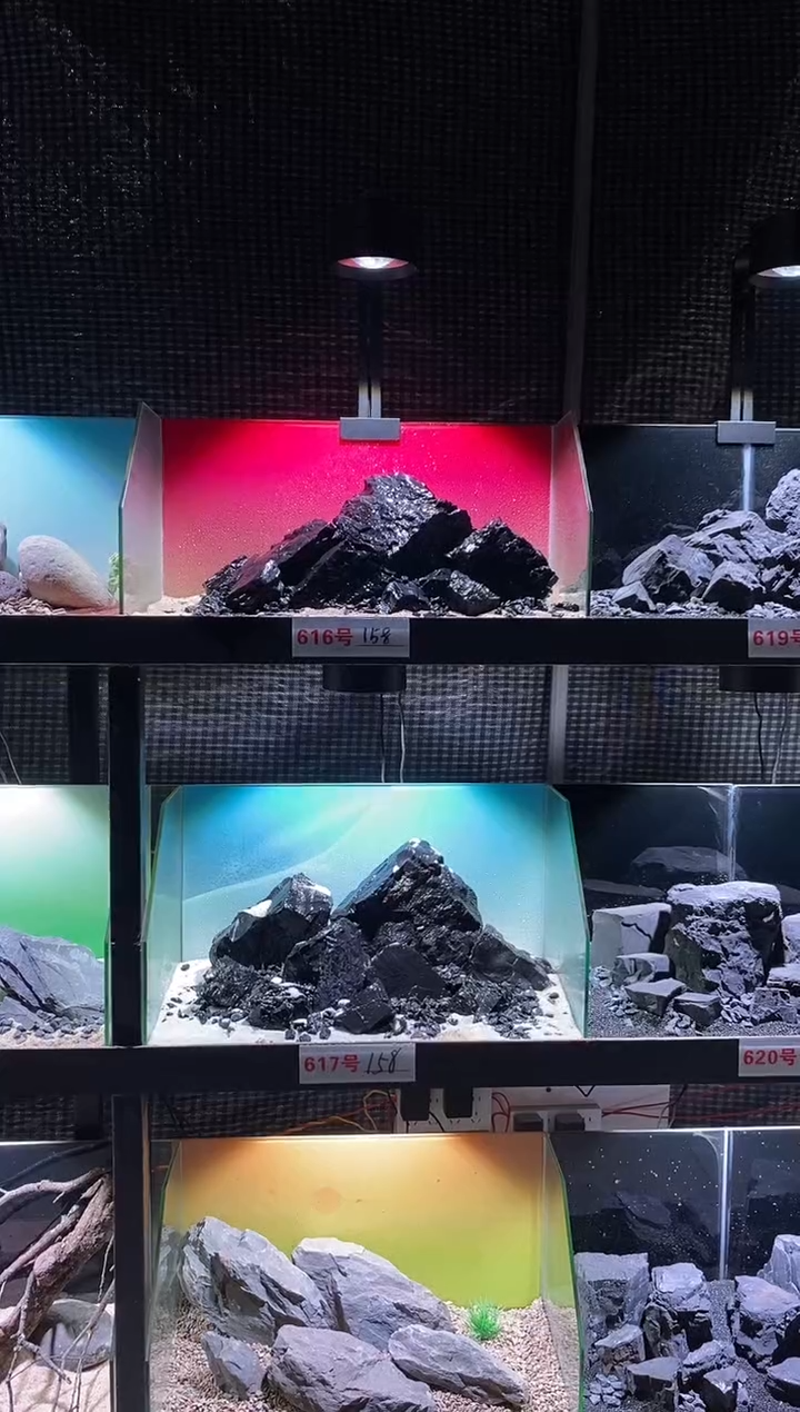 617号鱼缸造景（不含底砂）