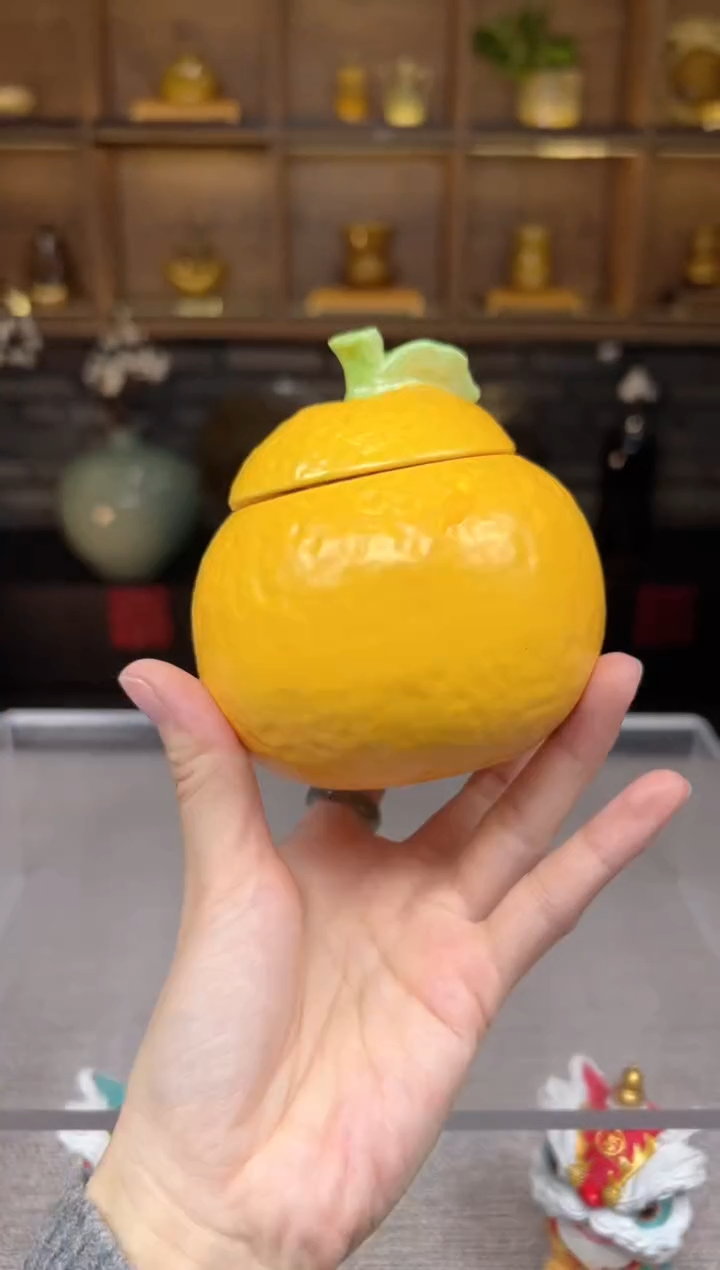 【闪购商品】无尽藏 专属福利单 VVV 