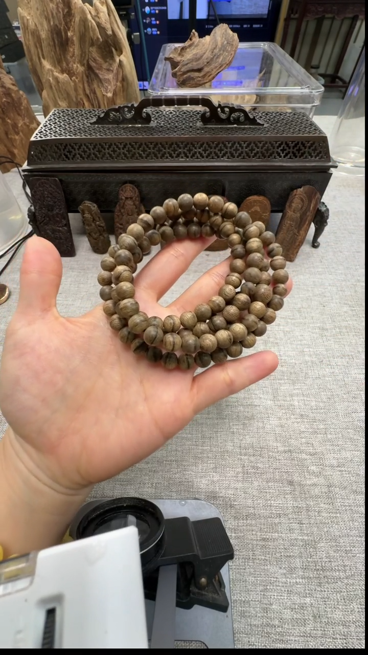 【闪购商品】格格宠粉福利虎斑纹7mm+原料