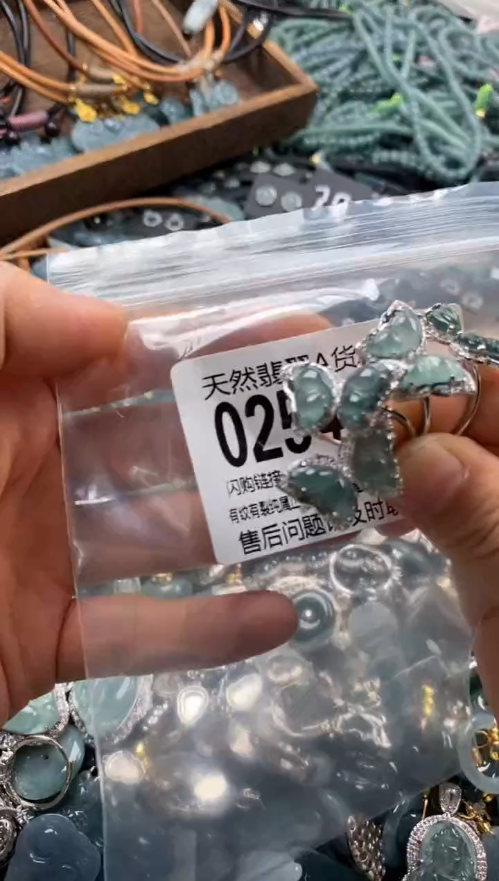 翡翠未镶嵌颈饰多样性发其一0254