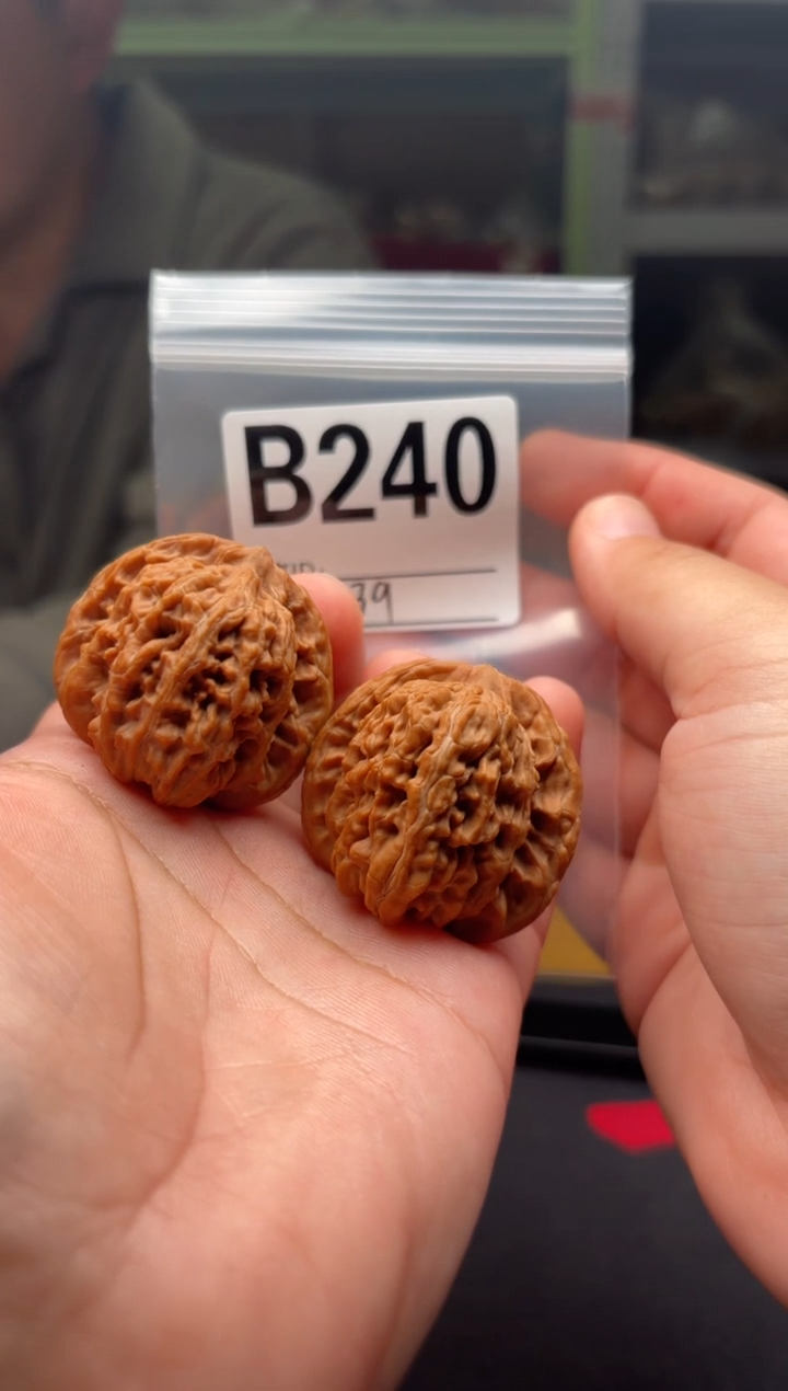 吊坠文玩核桃阿*哥秦皇楼39-B240