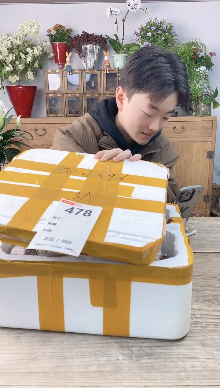 小玩子花盆直播编号478