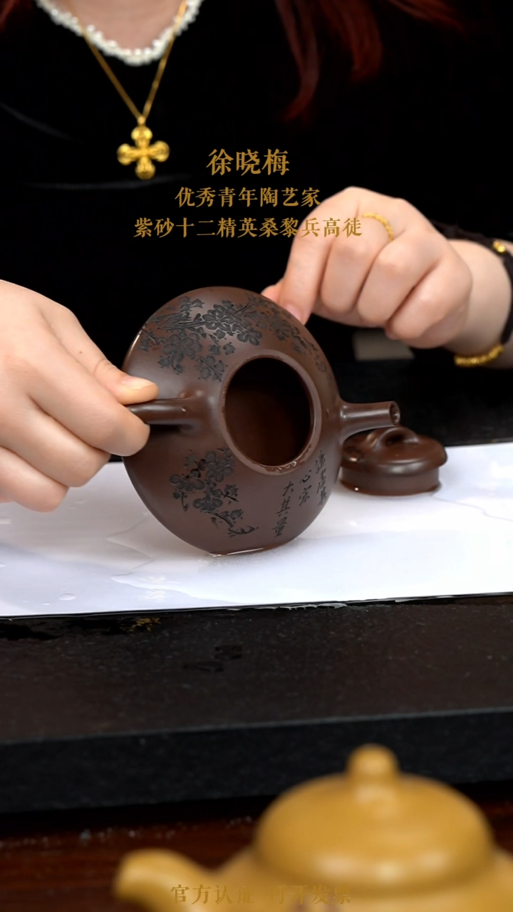 【闪购商品】紫砂茶壶WA014-0118MXX