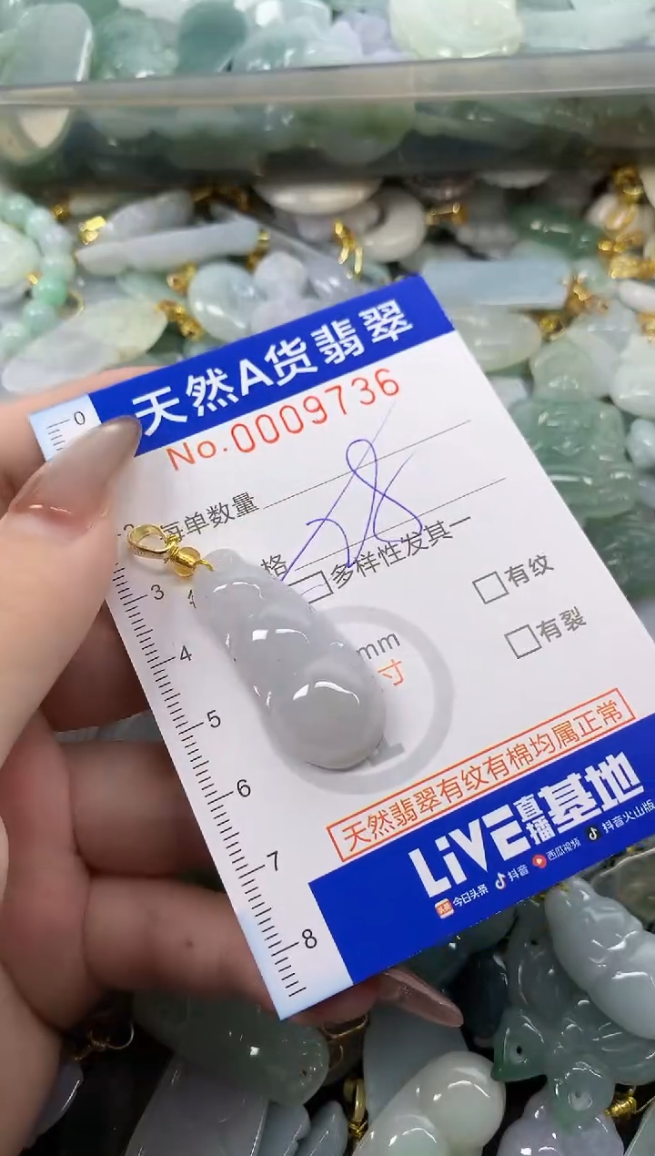 翡翠未镶嵌颈饰天然A货翡翠