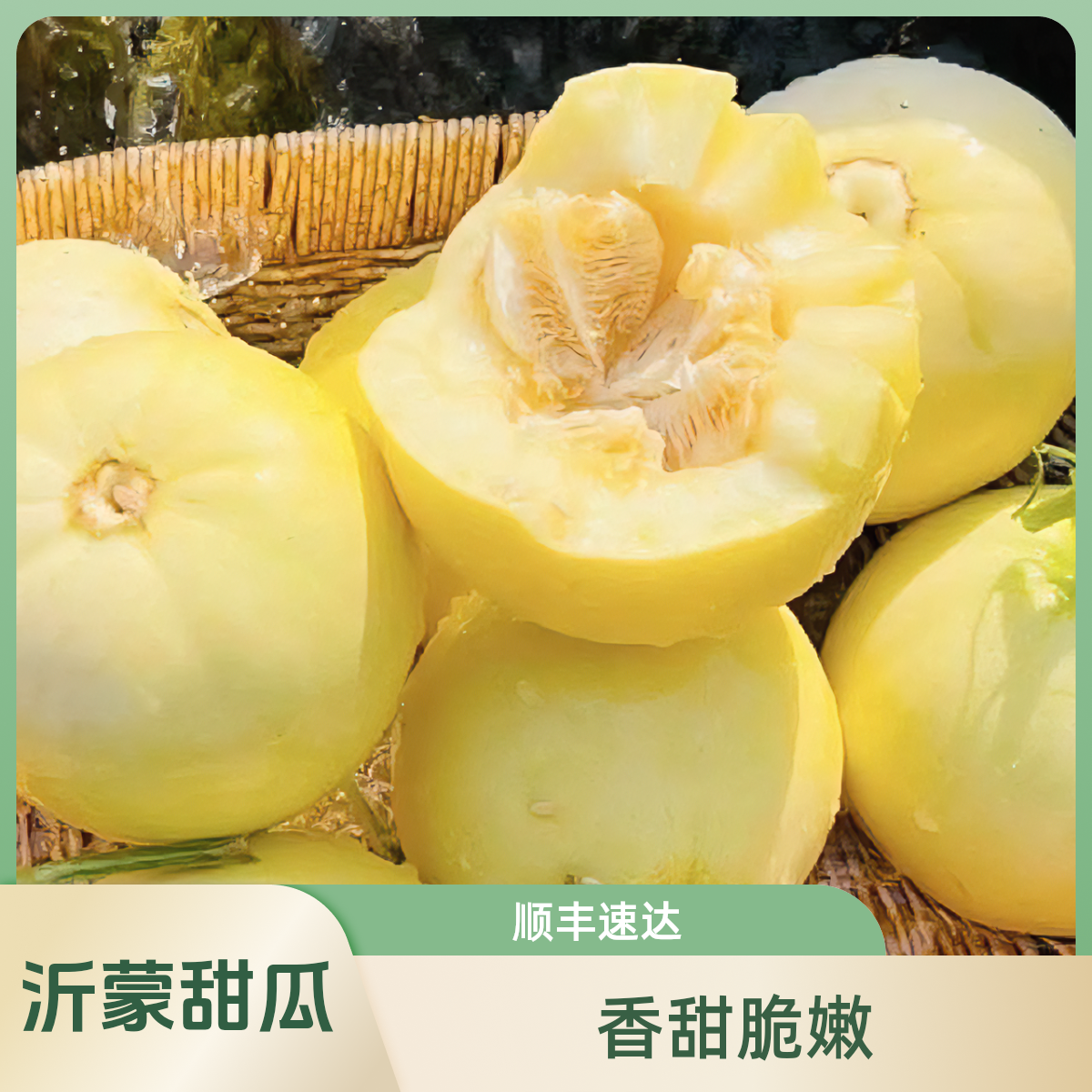 【今天拍明天到】瓜香四溢沂蒙山头茬星甜20 小蜜蜂甜瓜脆嫩棉密特别香5斤新鲜