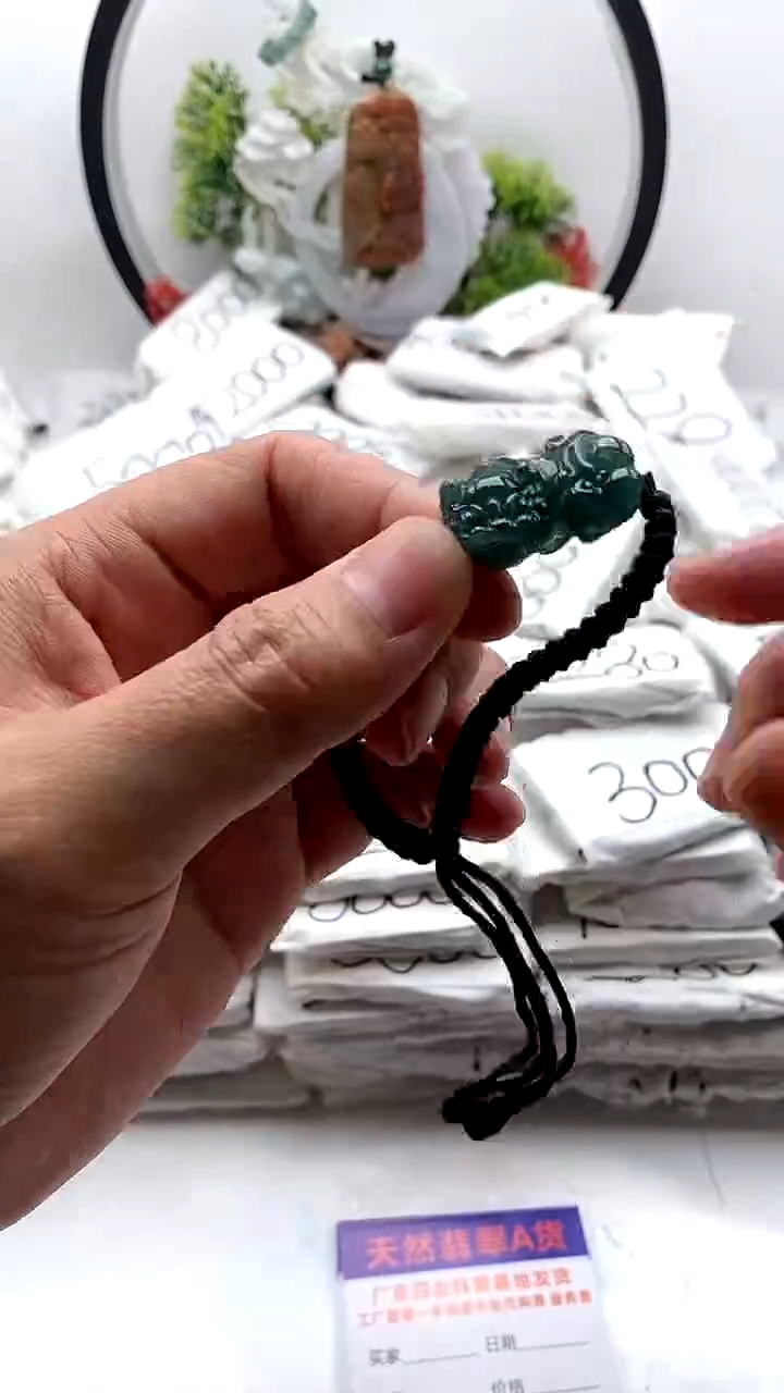 翡翠未镶嵌颈饰貔貅手绳z