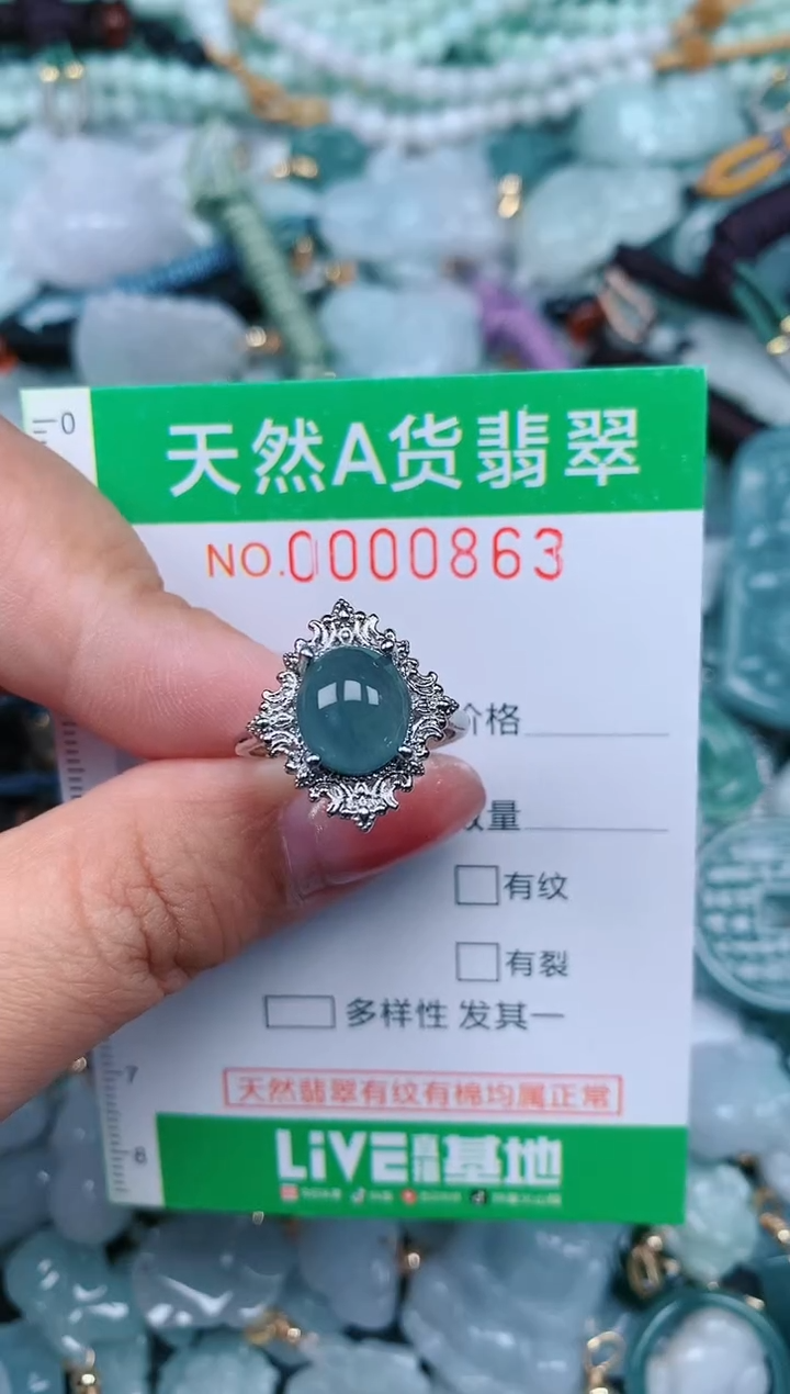 【闪购商品】翡翠颈饰未镶嵌.0000863