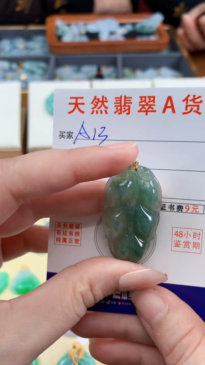 颈饰未镶嵌翡翠天然A货翡翠挂件