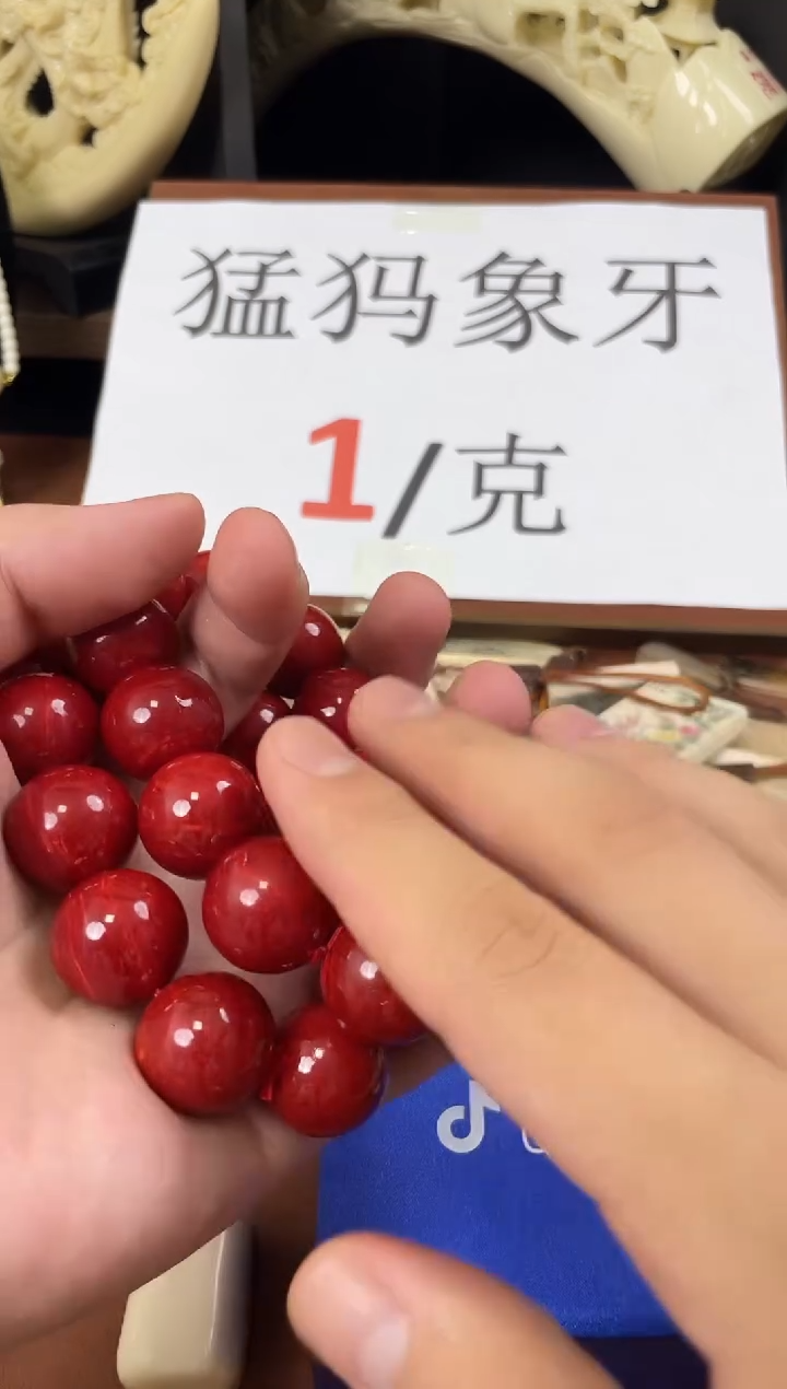猛犸三三 阿卡2.0m圆珠单圈