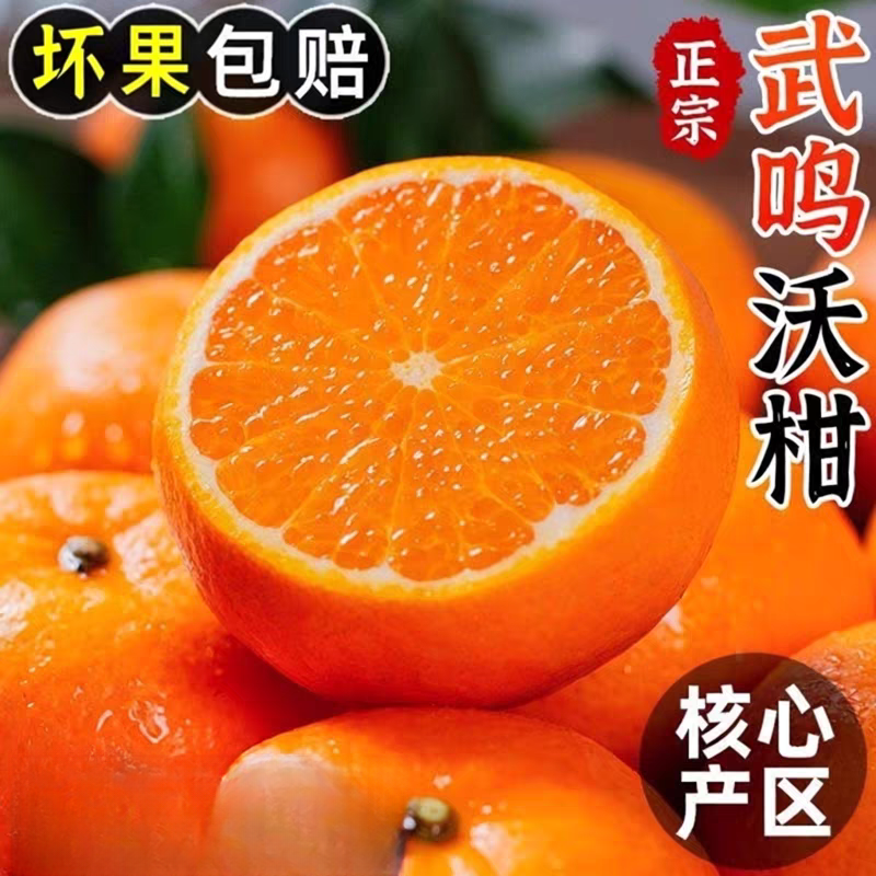 S1【坏果包赔】正宗广西武鸣沃柑花皮果当季水果桔子整箱砂糖柑橘