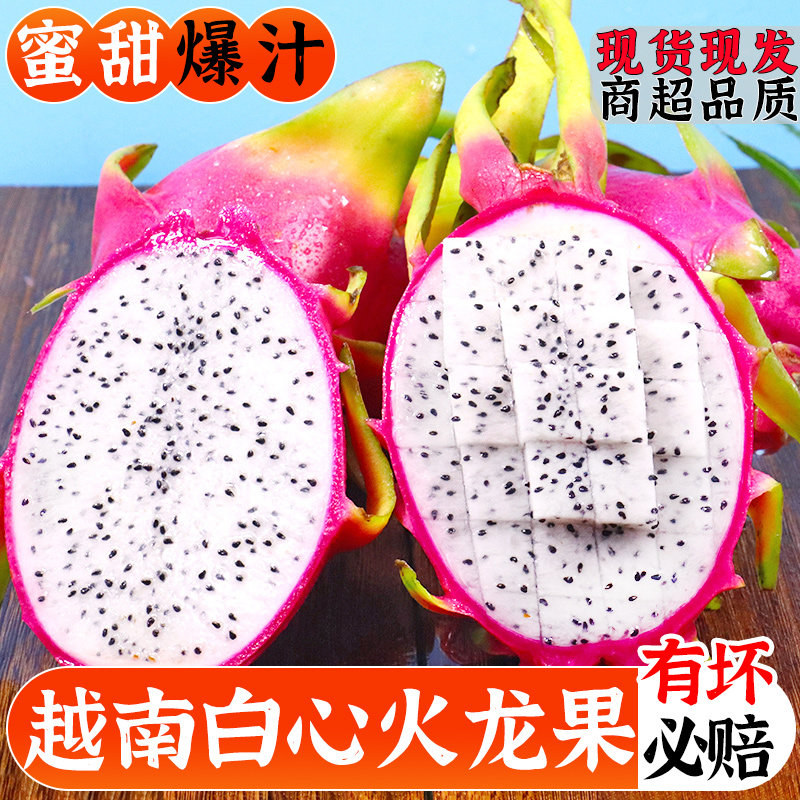 【精品】正宗云南白心火龙果批发鲜香甜孕妇水果新鲜白肉红心燕窝果