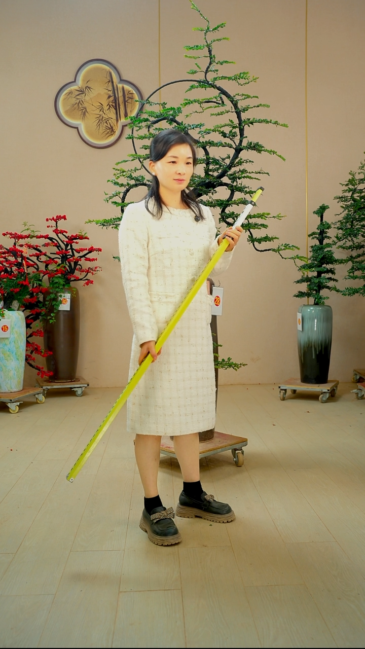 以实际为准调***色【广东小叶紫檀】落地高端盆景绿植四季常青常绿