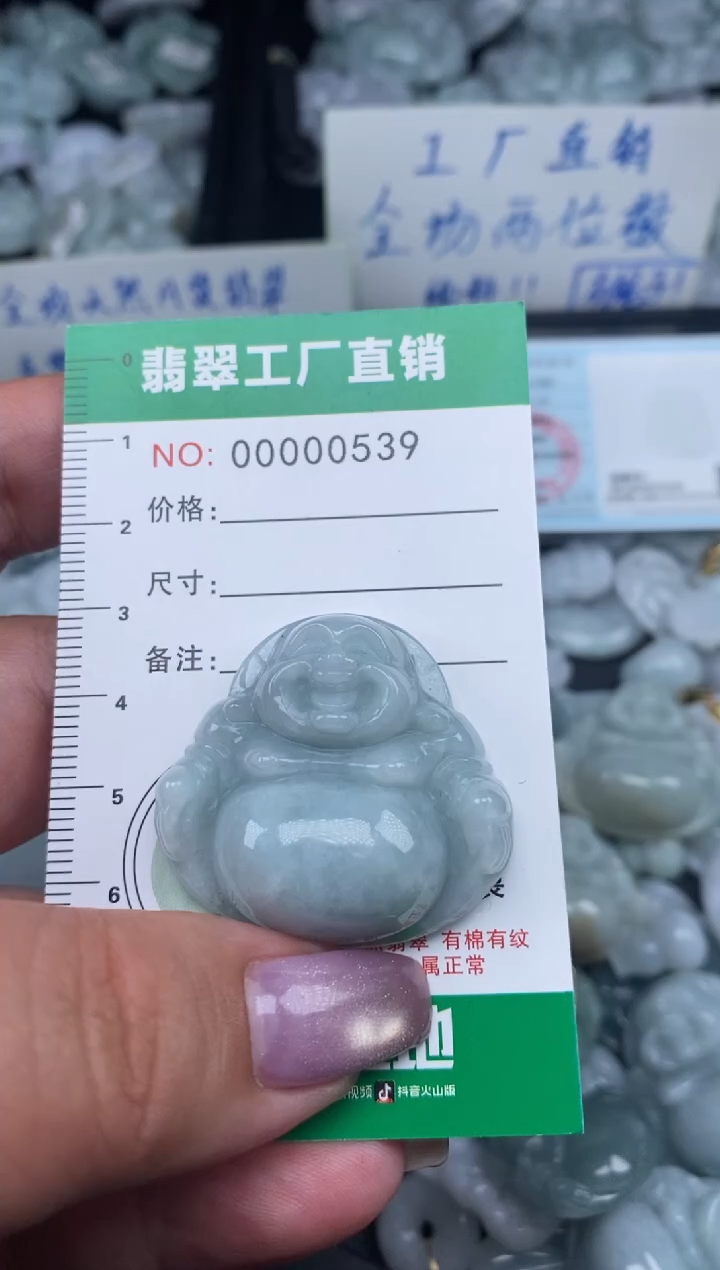 翡翠未镶嵌颈饰天然A货翡翠0539