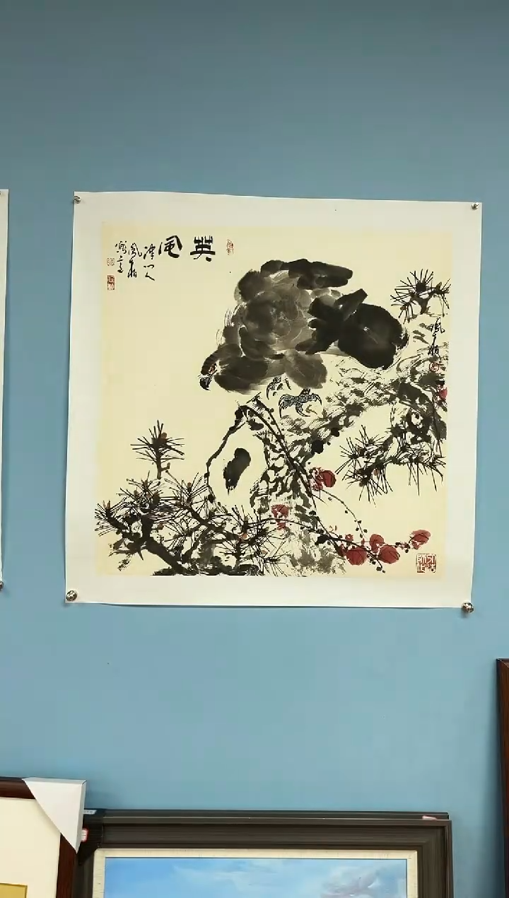 【闪购商品】国画马凤柏松鹰图
