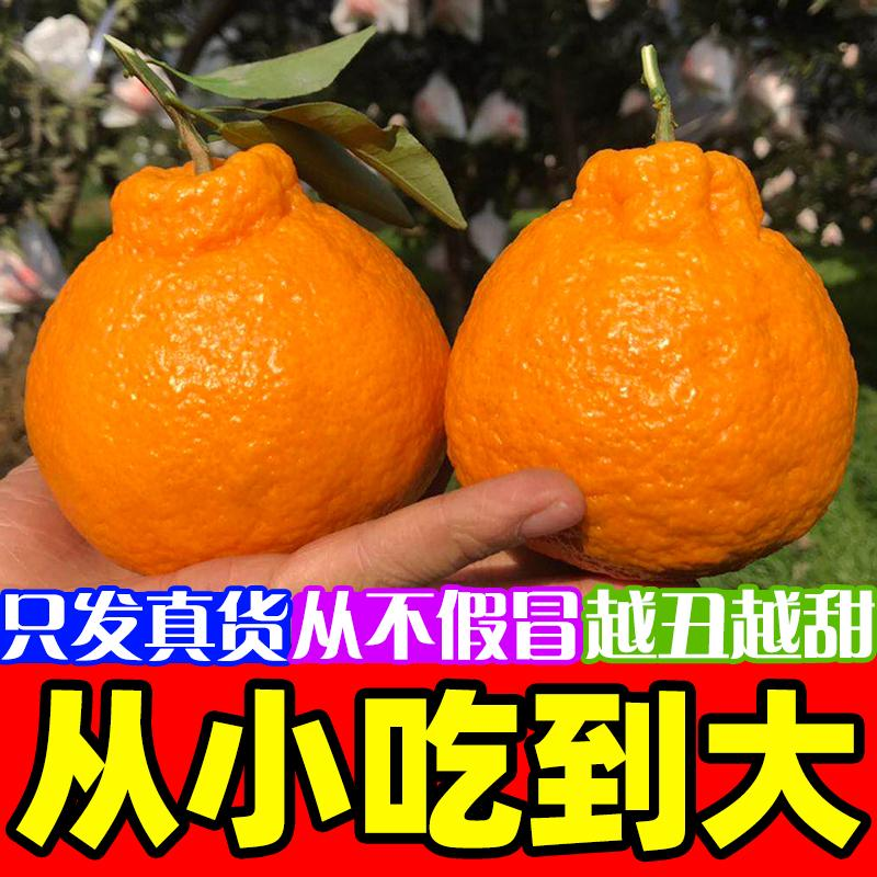 四川眉山【丑橘】不知火产地直发