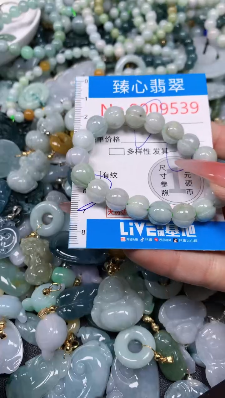 【闪购商品】翡翠颈饰未镶嵌含绳0009539