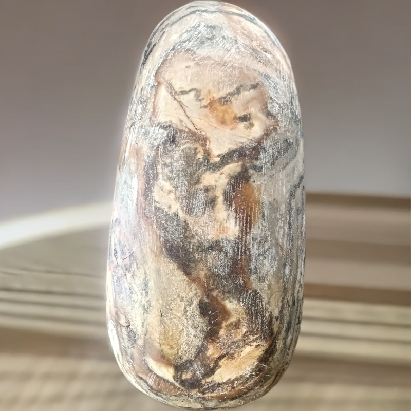 长江天然奇石化石可用于收藏的精美摆件