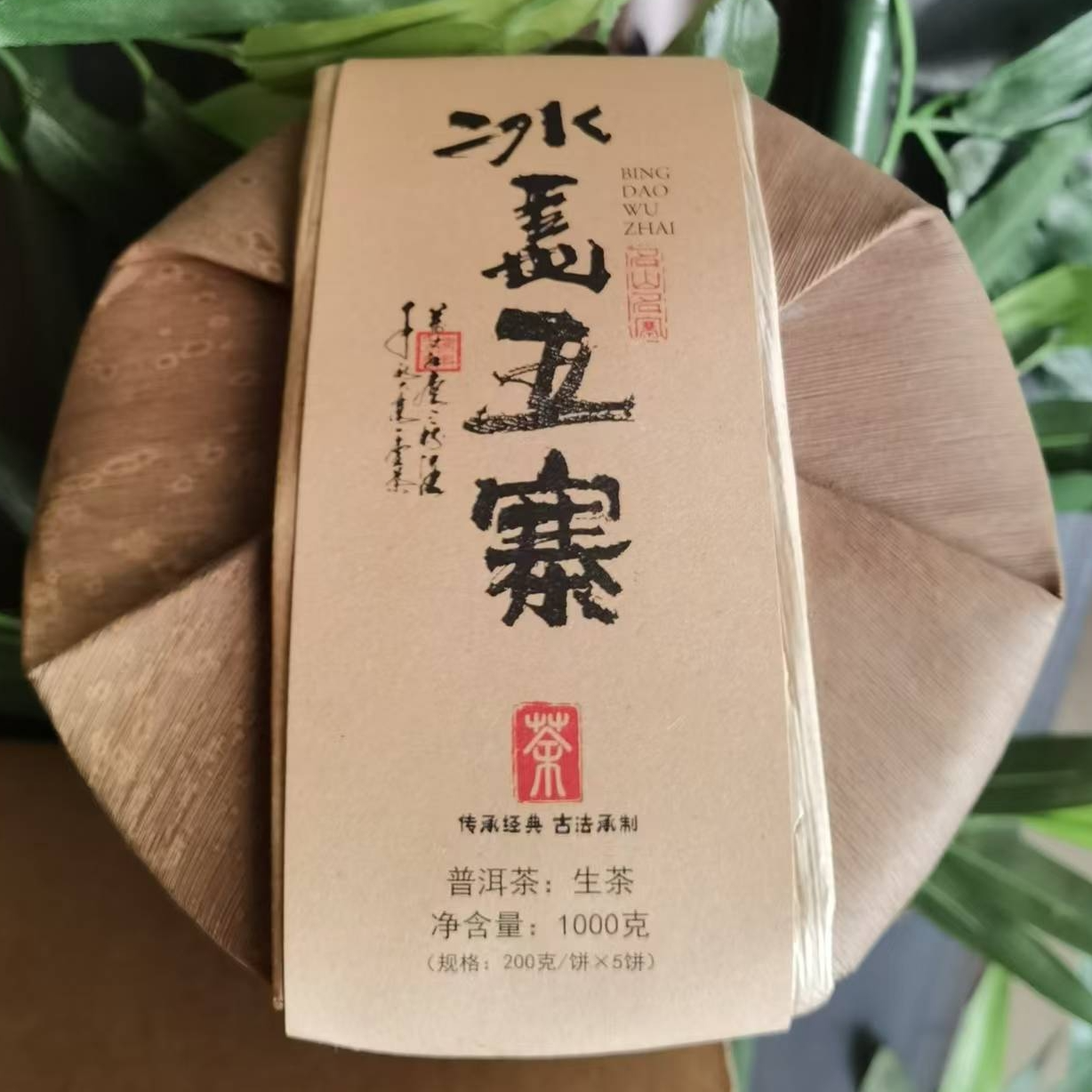 冰岛五寨五饼（笋壳）普洱生茶老树普洱茶