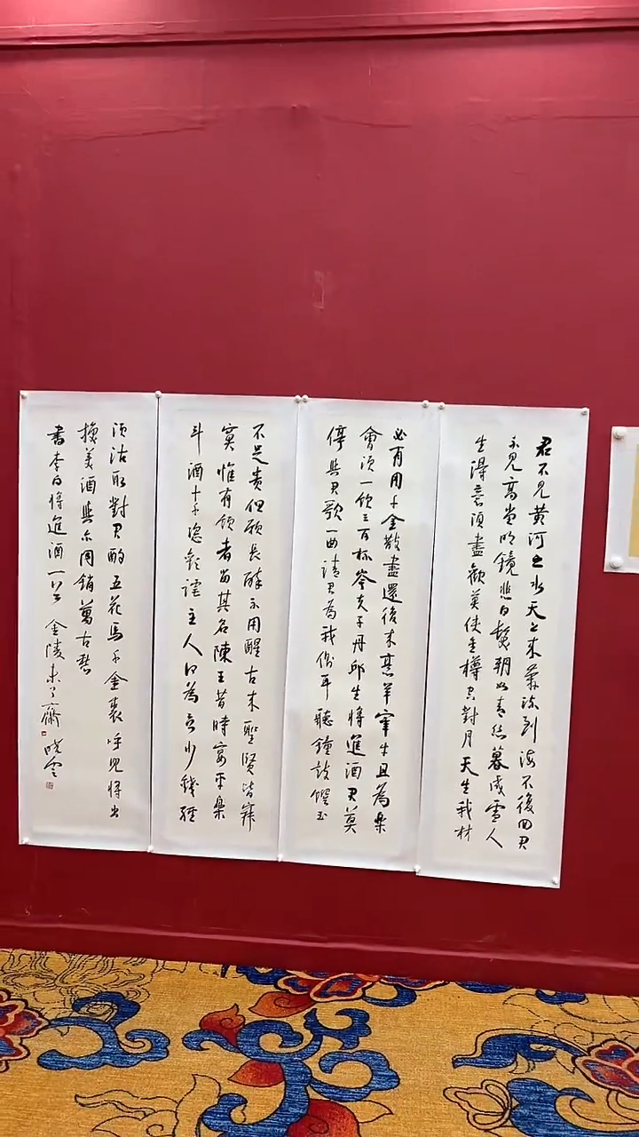 书法孙X云-4Px4-君不见