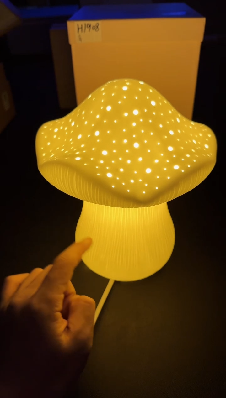 【闪购商品】瓷片全新正品一件不留@@H1908