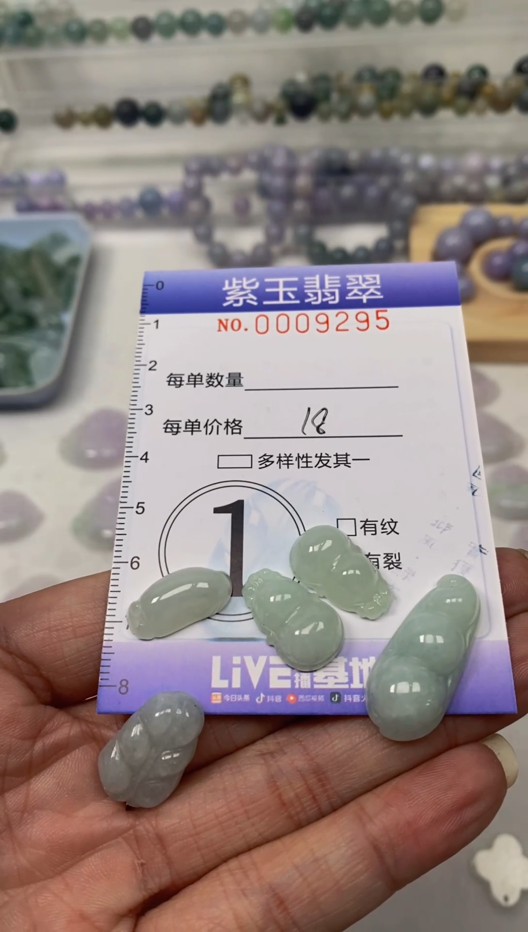 【闪购商品】翡翠颈饰未镶嵌挂件