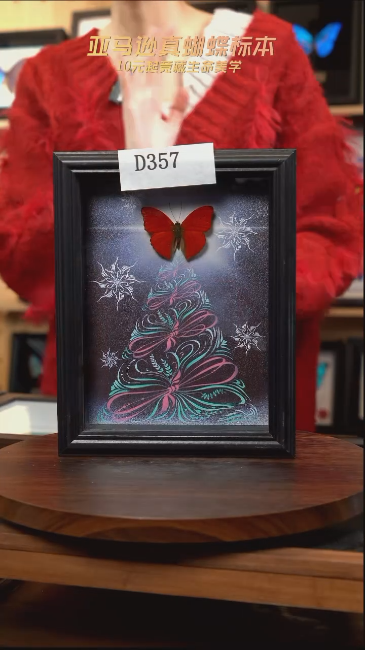 蝴蝶标本摆件竞拍d357