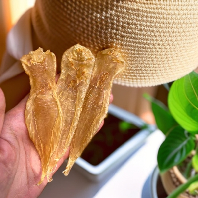 【云澳金海岸&南澳珠姐 直播链接】南澳本港白花鱼胶 大金2