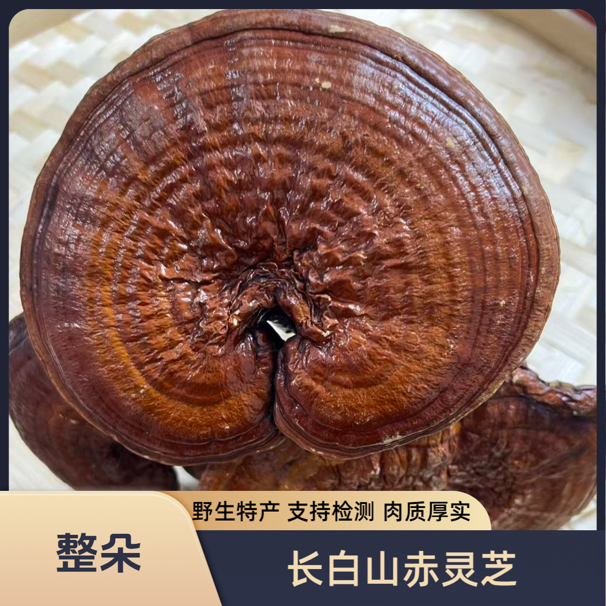 长白山整朵纯正野生赤灵芝足龄朵大肉厚实泡酒专用灵芝