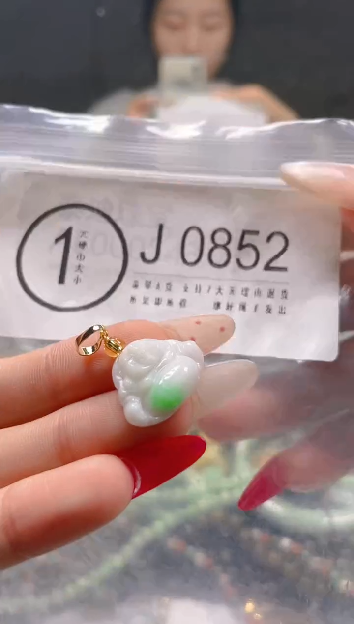 【闪购商品】翡翠颈饰未镶嵌/J/翡翠A货一图一物