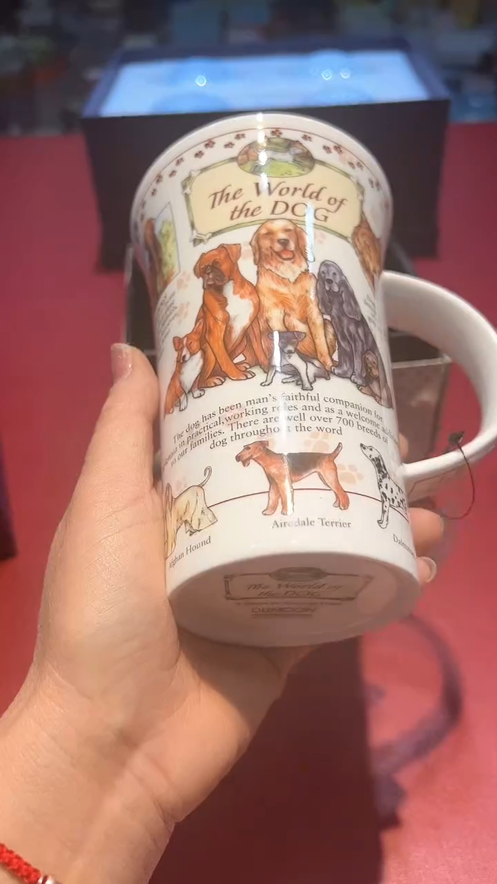 【闪购商品】瓷片锅碗瓢盆一件不剩