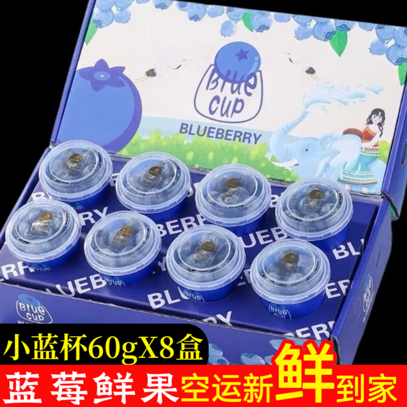 「现采空运」云南高山花香蓝莓当季新鲜采摘孕妇宝宝水果60克X8盒