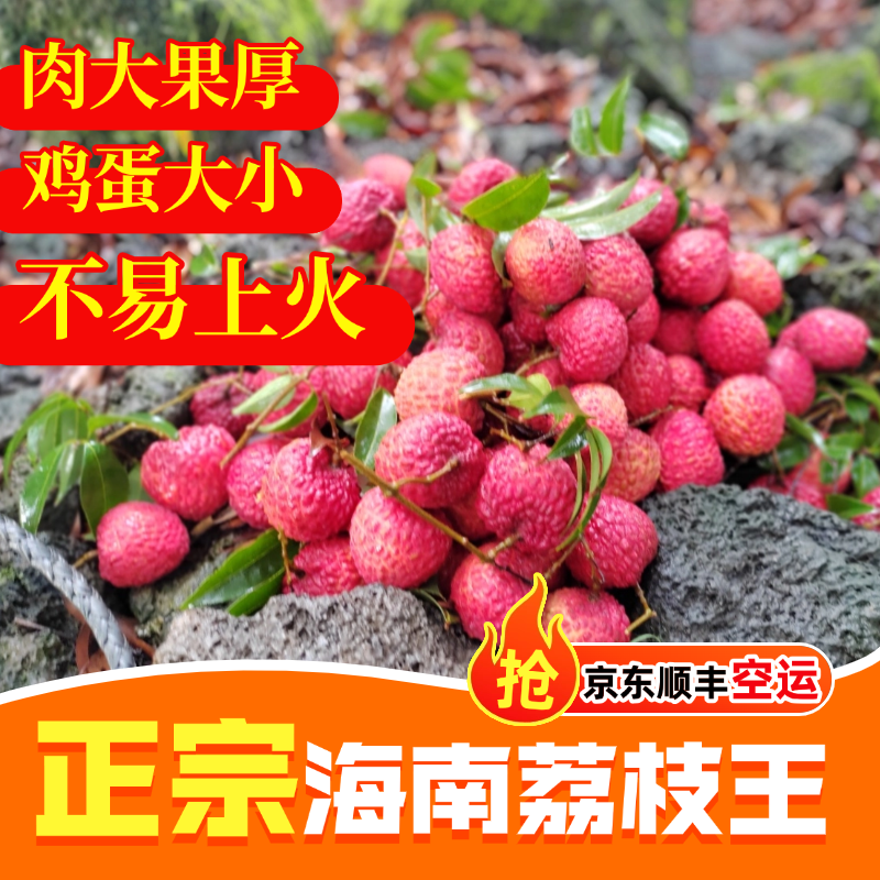 【永兴荔枝王】现货海南火山荔枝王新鲜荔枝夏日水果45g特大果