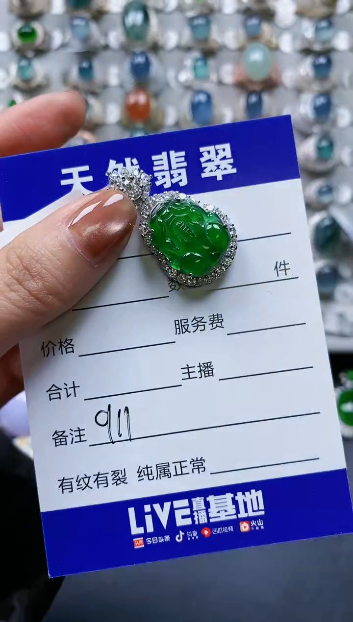 【闪购商品】翡翠颈饰银S925镶嵌0911