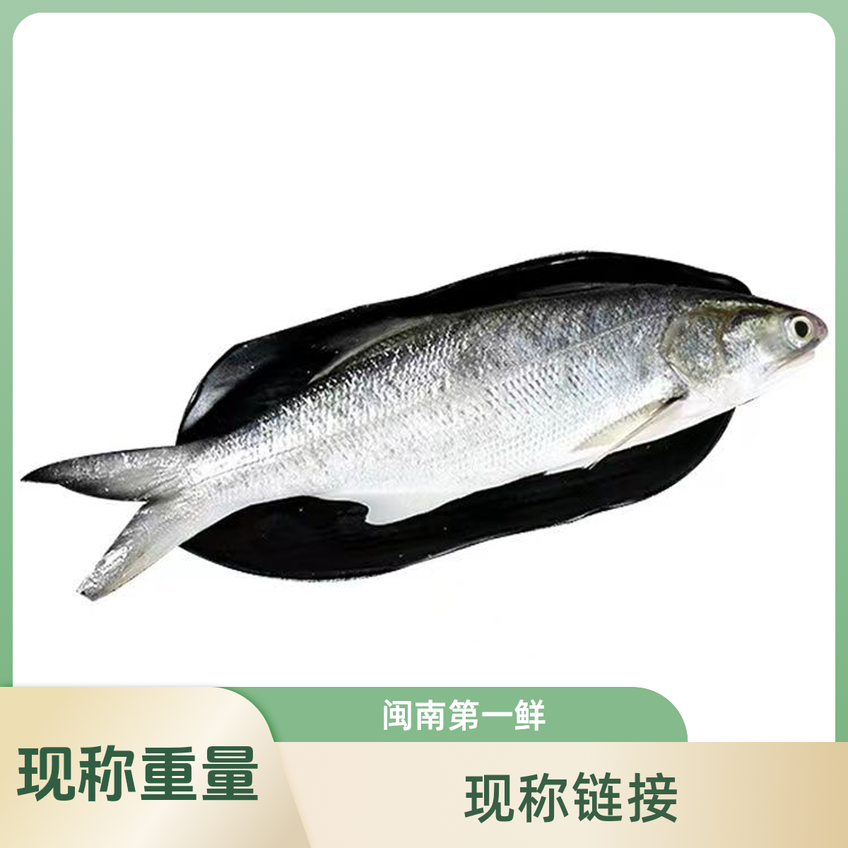 现称链接  午鱼