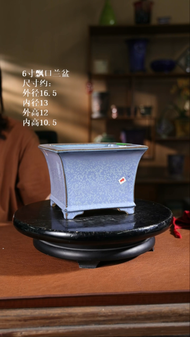 【限时买三免一活动】6寸飘口兰盆333