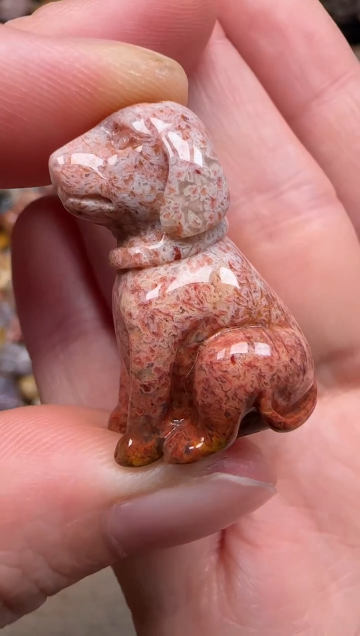 硅化珊瑚（珊瑚玉）未镶嵌颈饰125