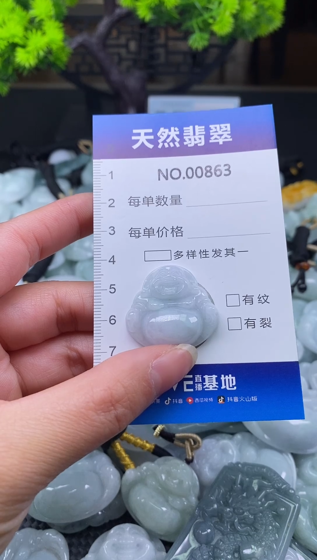 未镶嵌挂件翡翠天然缅甸翡翠863