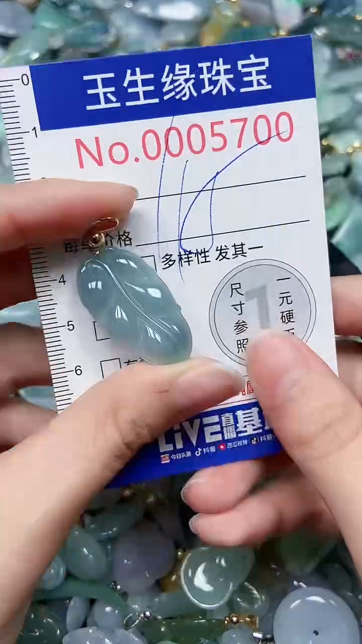 【闪购商品】翡翠颈饰未镶嵌闪购00005700