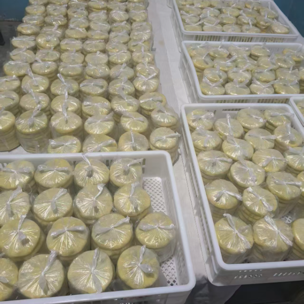 农家黍面油糕 （枣泥馅）纯手工