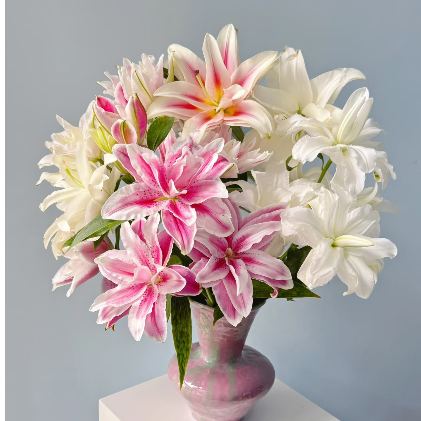 【pp百合】云南鲜花基地直发顺丰送货上门