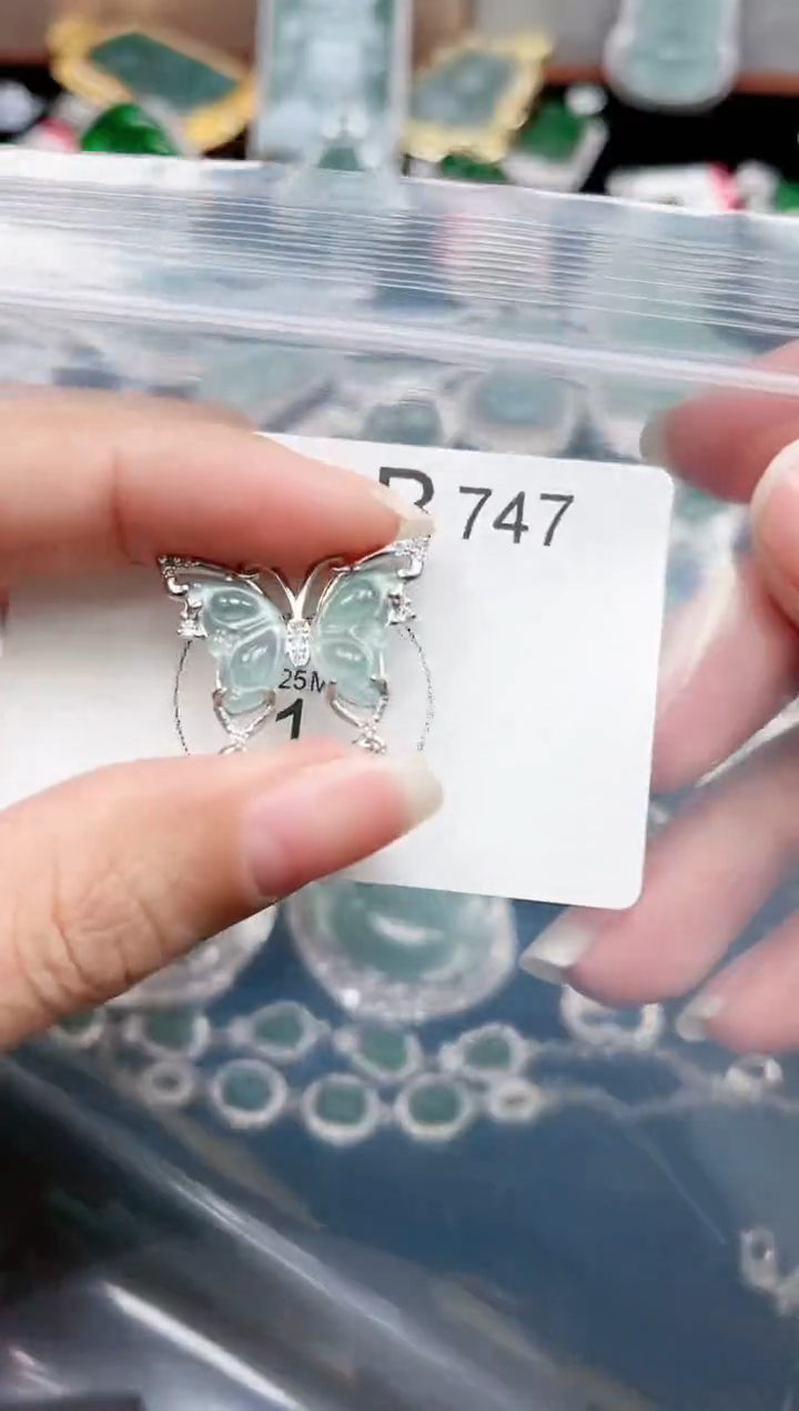 【闪购商品】翡翠颈饰未镶嵌赠皮绳747