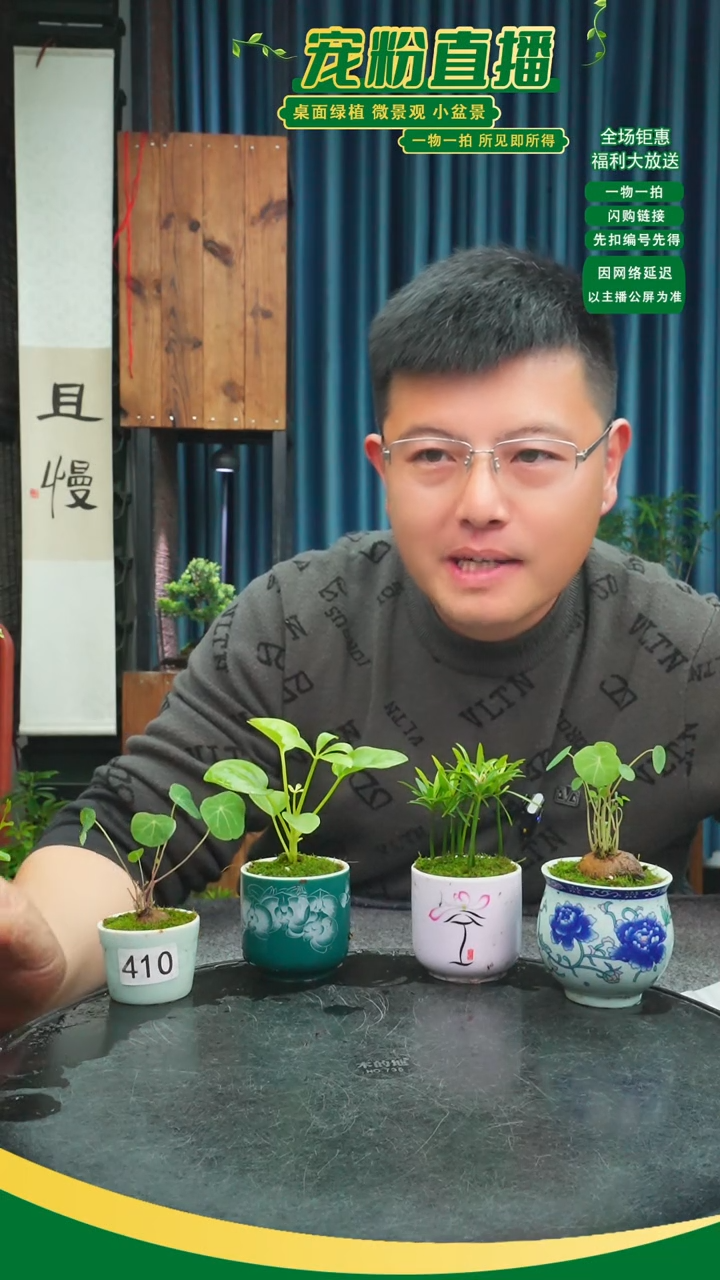 无花朵ღ****࿐苔藓微景观410号